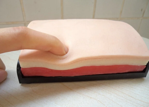 

skin model surgical sutured skills training module simulation training modelr human skin sutured