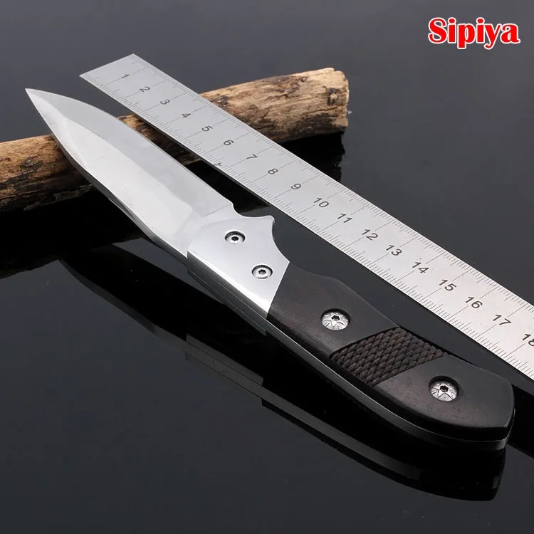 1913645423_731435421