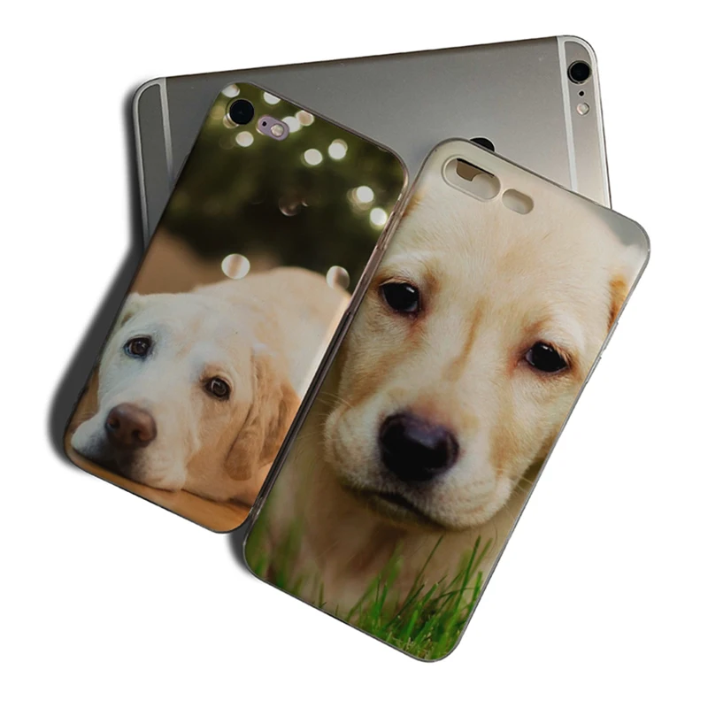 

IMIDO Lazy Labrador Retriever Soft Silicone Cover For Iphone 7 8 7PLUS 8PLUS X XS XR XSMAX 5 5S SE 6 6S 6PLUS 6SPLUS
