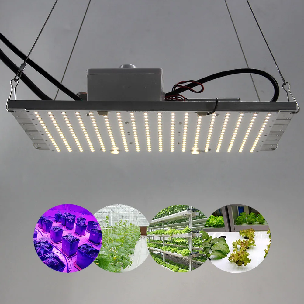 

Hot IDEA LIGHT Dimmable 288 Samsung lm301b 3000K 3500K 4000K 660nm Red Quantum Board Led Grow Light Full Spectrum