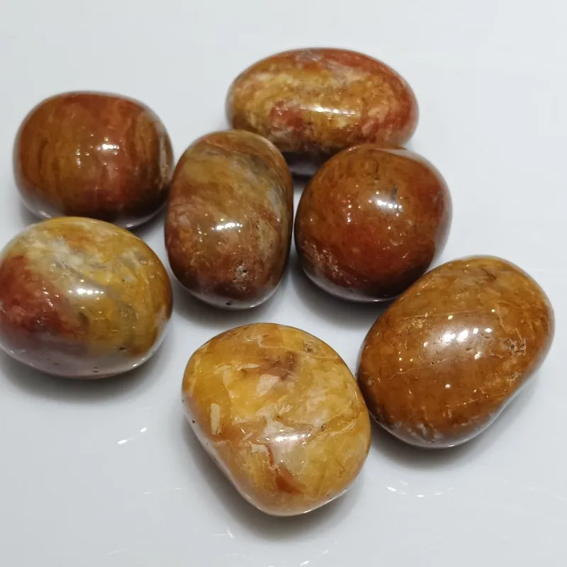 conew_img20190511164406