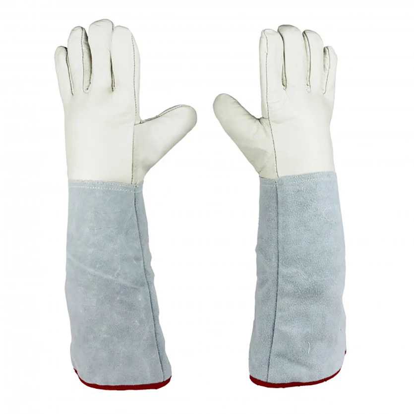 HTB1yfOdMXXXXXbYaXXXq6xXFXXXd