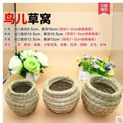 QQ20190417102525