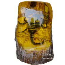 Chrysophoron, âmbar artesanato escorpião, lamber, escorpião, móveis e decoração de casa, decorações para casa, presentes de casamento de natal