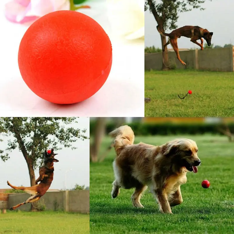 Indestructible Dog Toys Pets At Home Indestructible Dog Toys Pets At Home