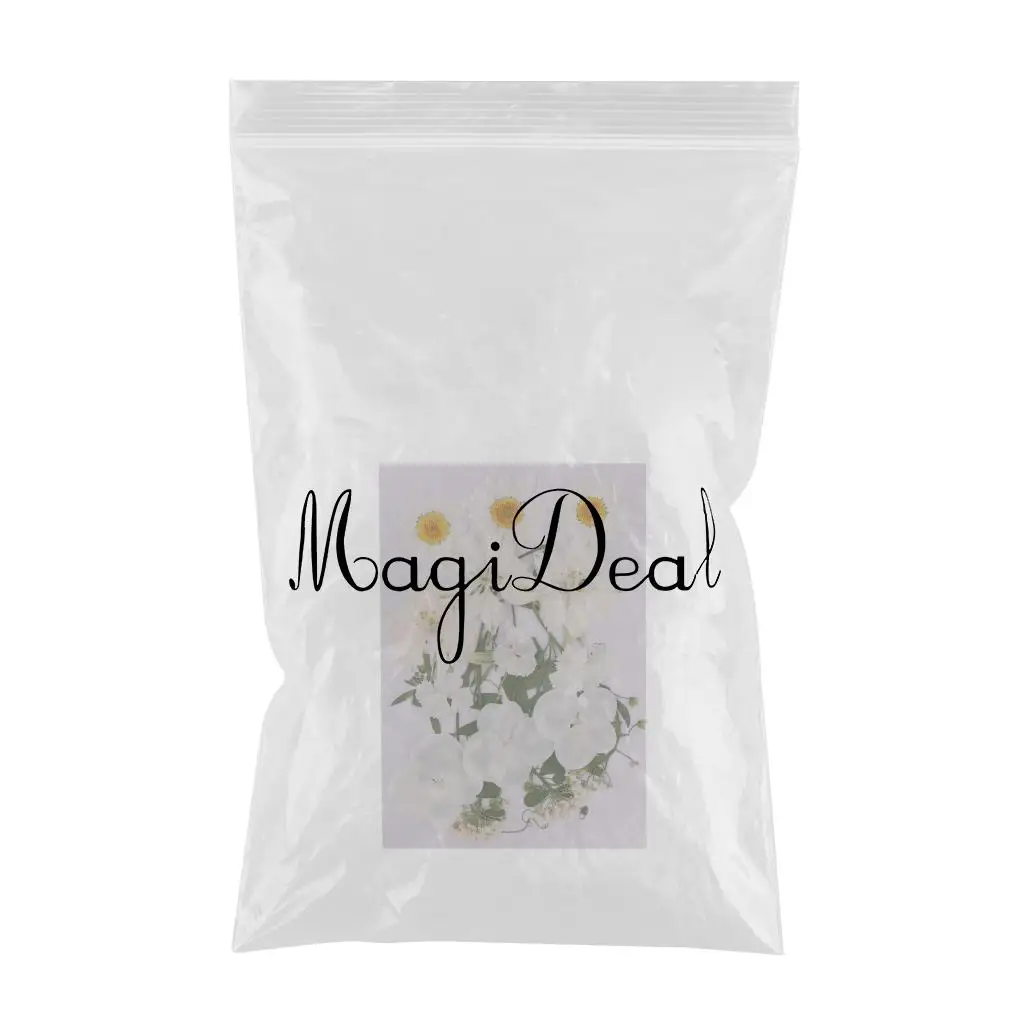 Multiple Mix Natural Pressed Dried Flowers Leaves DIY Art Craft for Lampshades scrapbooks walls wedding invitations decoration