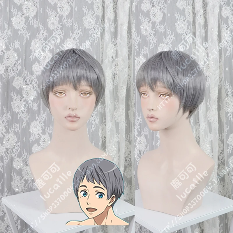 Бесплатно!-погружение в будущее Aiichirou Nitori парик Короткие Серые синтетические