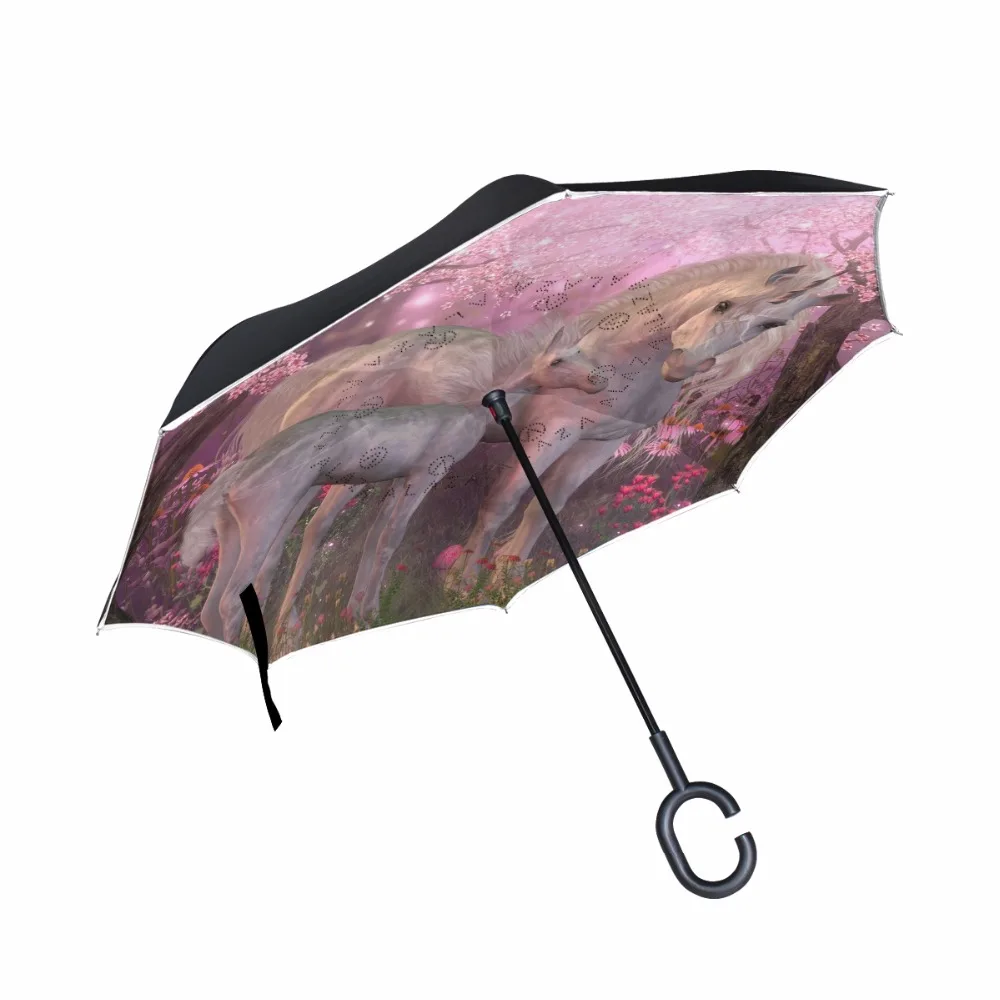 g3216743p183c217s313_0