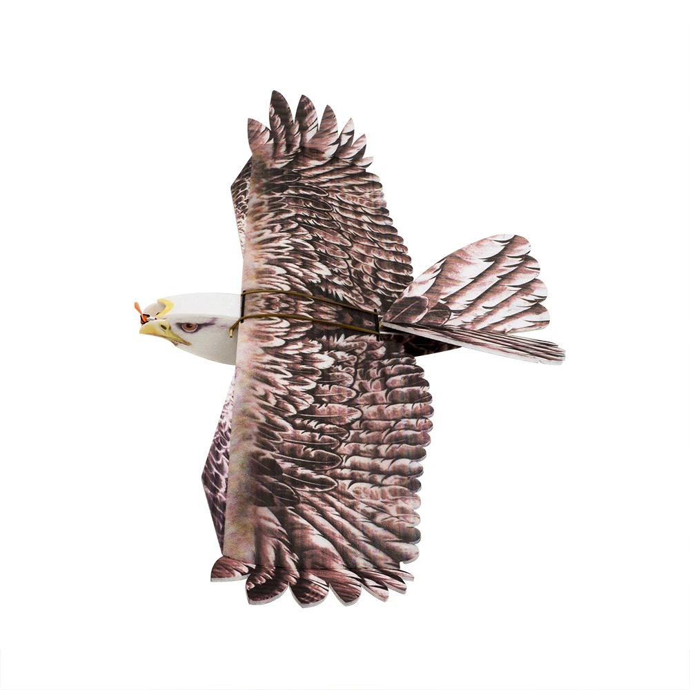 RC Airplane EPP Airplane Model Eagle RC Wingspan 1430mm Eagle EPP Slow Flyer rc plane rc airplane RC Airplane EPP Airplane Model Eagle RC Wingspan 1430mm Eagle EPP Slow Flyer rc plane rc airplane