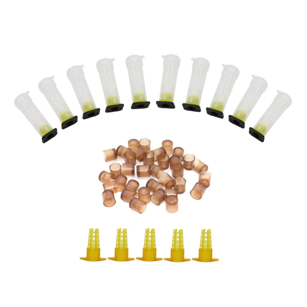 

1 Set Plastic Queen Rearing Cupkit System Bee Beekeeping Catcher Box Cell Cups Great Beekeeping Tool Kit For Beekeeper