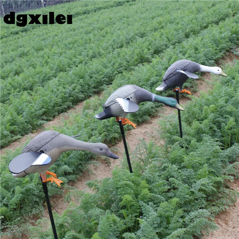 Ducks Hunting (3)