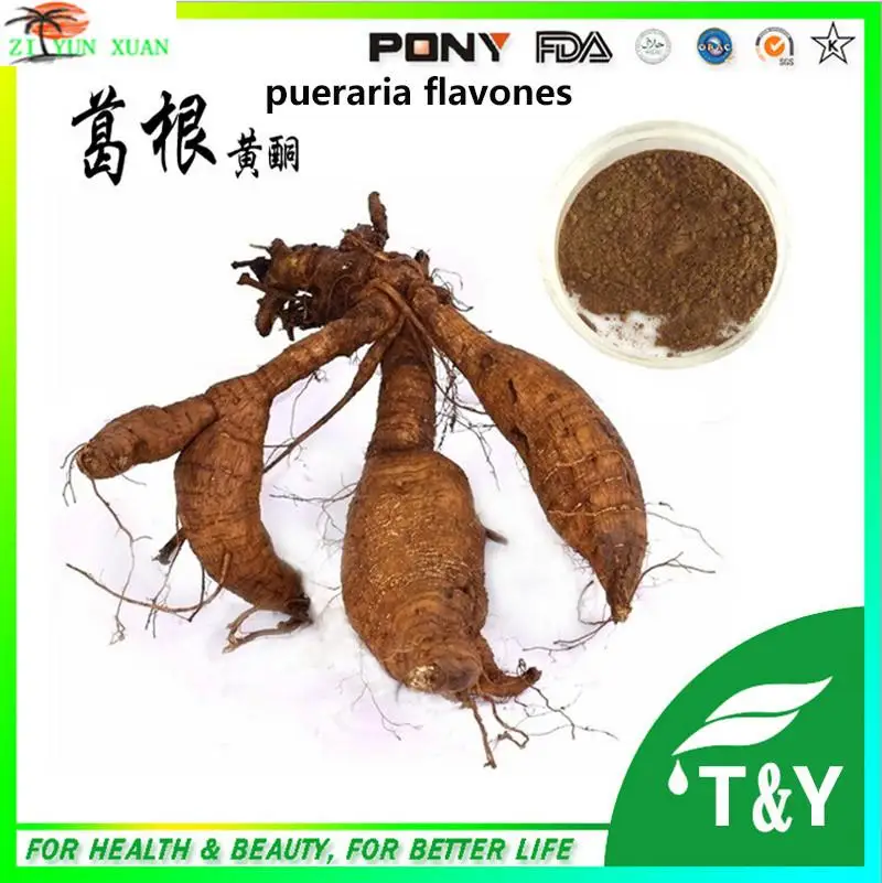 Herb Extract Kudzu Root P.E./Kudzu Vine Extract/Kudzu Flower Extract on ...