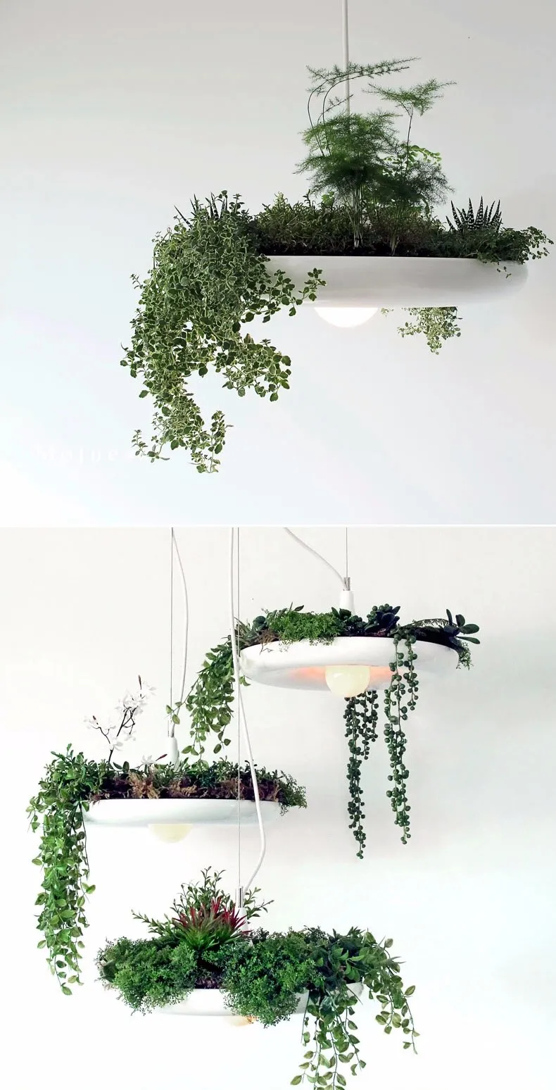 TB2v5c3cFXXXXamXpXXXXXXXXXX_!!1707444029