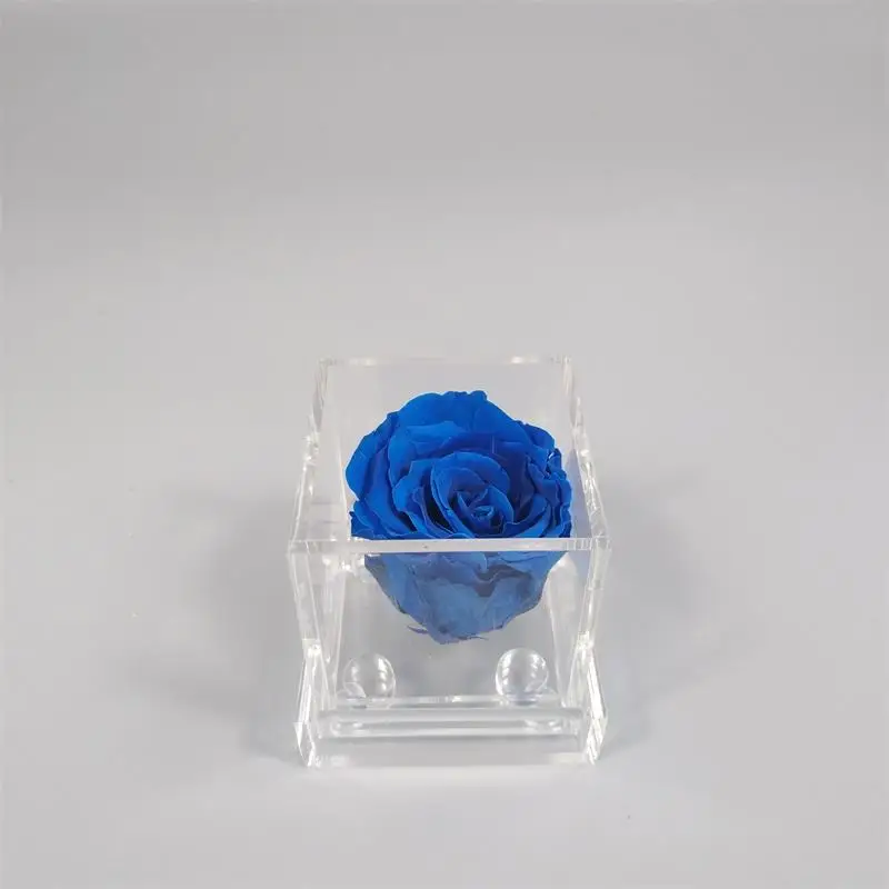 Rose (13)
