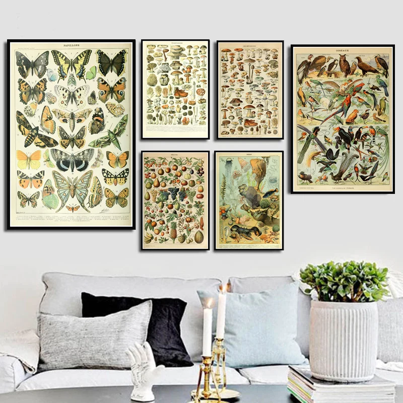 

Poster Prints Ocean Chart Botanical Animals Mushrooms Educational Art Canvas Oil Painting Wall Pictures Living Room Home Decor