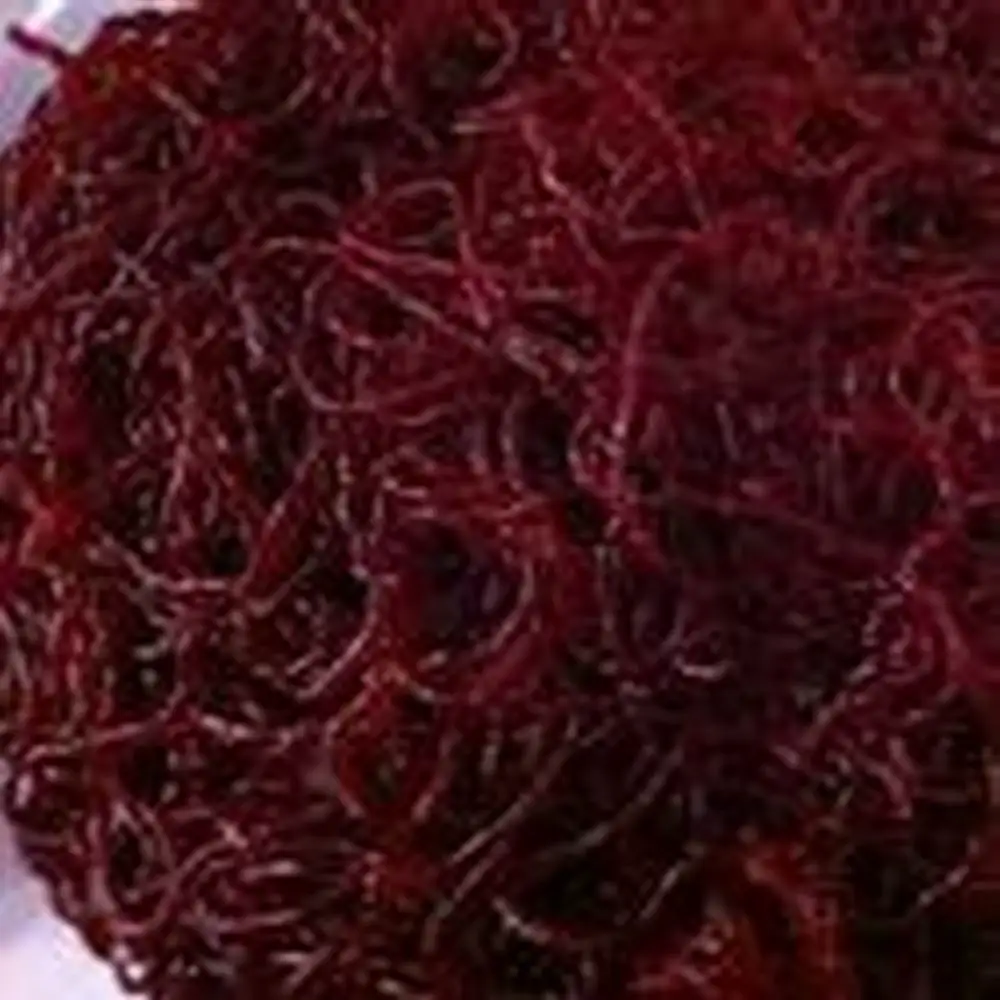 الساخن بيع 200 pcs رائحة الدودة الحمراء السحر 2 cm لينة الطعم الكارب الصيد إغراء مجموعة الاصطناعي الصيد tackleFREESHIPPING الساخن بيع 200 pcs رائحة الدودة الحمراء السحر 2 cm لينة الطعم الكارب الصيد إغراء مجموعة الاصطناعي الصيد tackleFREESHIPPING