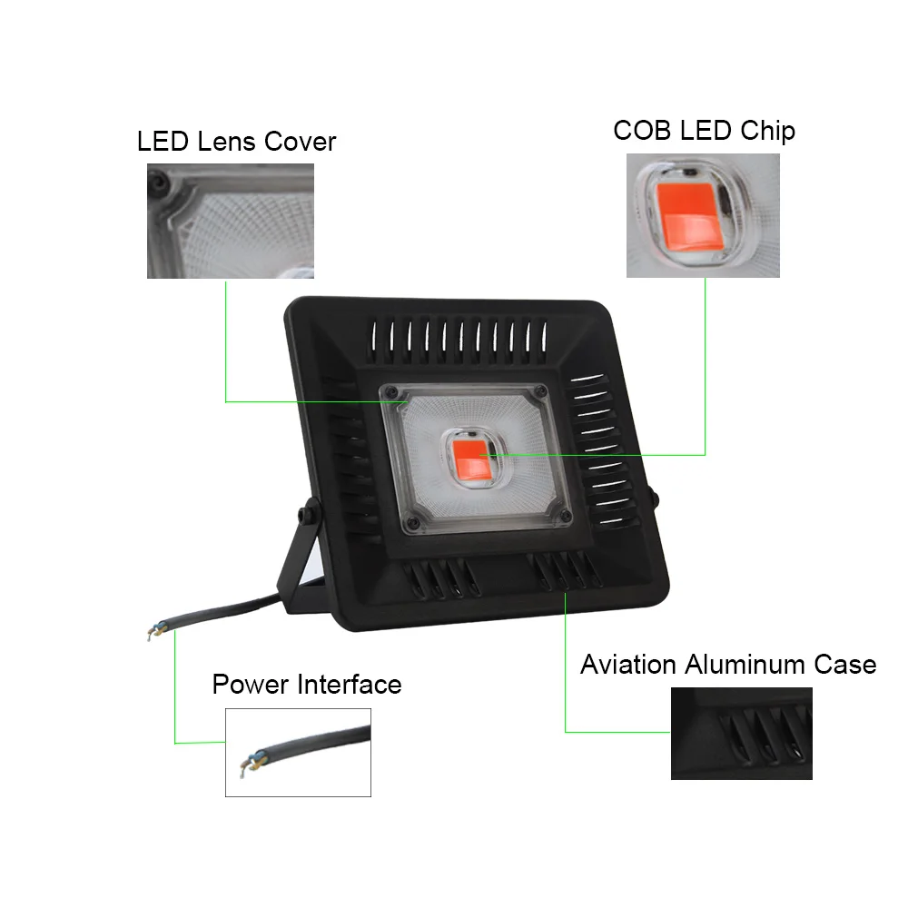 50w-xq