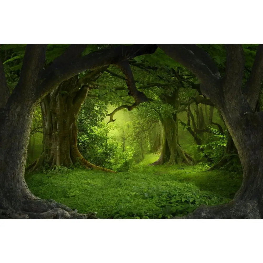

Yeele Light of Hope Forest Romantic Wonderland Girl Photography Backgrounds Personalized Photographic Backdrops For Photo Studio