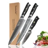 SUNNECKO – ensemble de couteaux de cuisine damas, 3 pièces, couteau japonais à trancher, noyau en acier VG10, manche en acier, coupe-viande de fruits tranchants ► Photo 1/6
