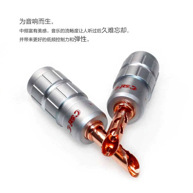 CMC BFA (1)