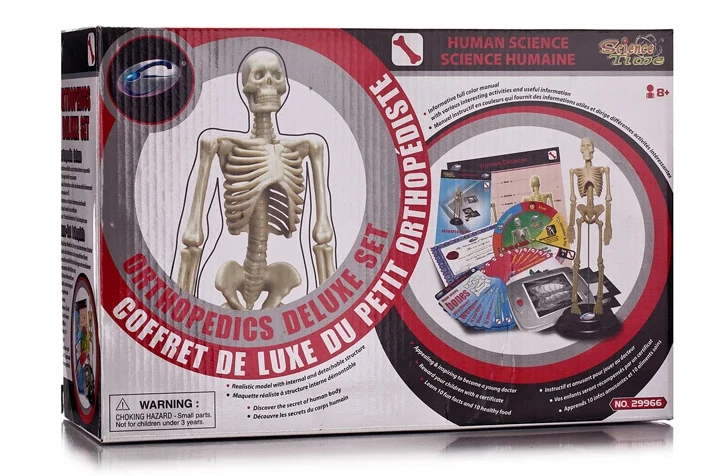 Popular Physiology Education-Buy Cheap Physiology
