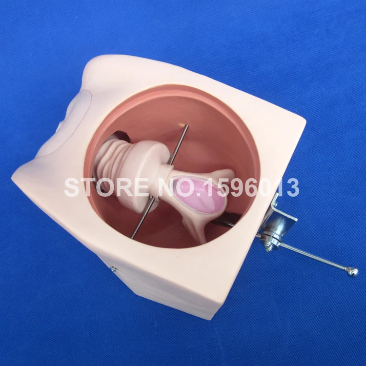 T33B contraception model (4)