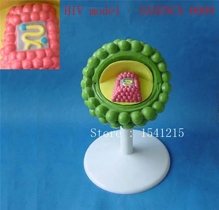 

Virus structure model Biological teaching model Medical teaching aids HIV model - GASENCX-0089