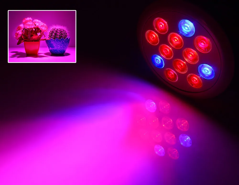 Lemonbest E27 12 Вт светодиодный Grow Light лампочка 12В светодиодный s для гидропонного выращивания растений огни в красном и синем цветах для Парниковый Сад