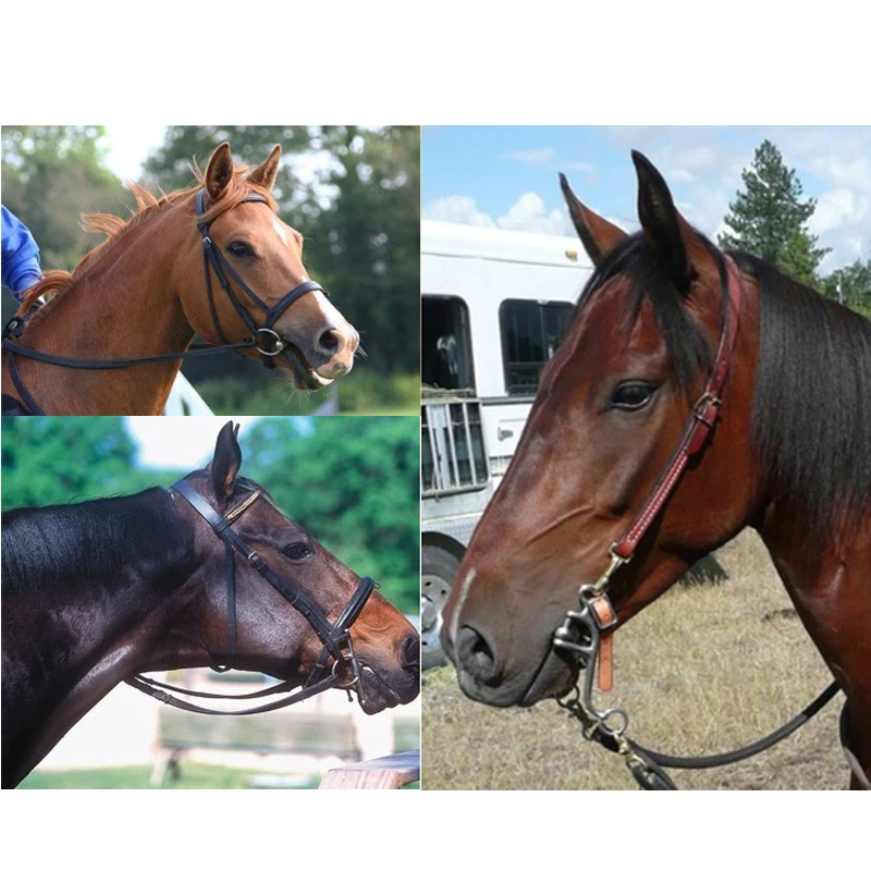 Насадки для лошадей 125 мм из нержавеющей стали|equestrian equipment|horse equestrianhorse riding equipment |