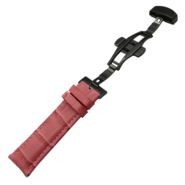 B P5