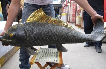 

Folk Classic Bronze Gilt Home Auspicious Feng Shui Wealth carp cyprinoid Fish ST