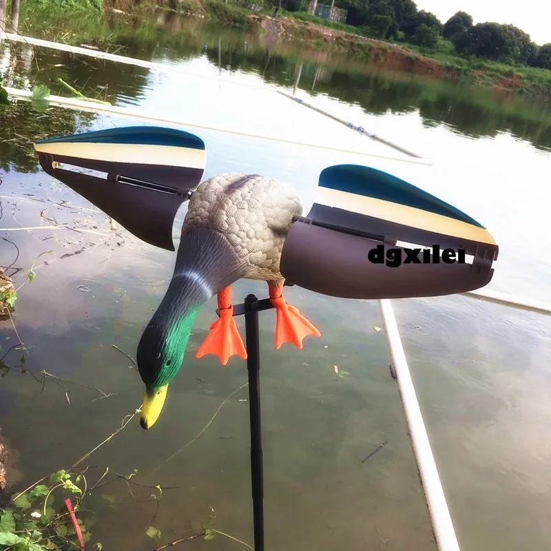 Wind duck (1)