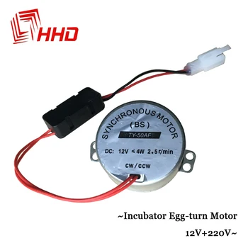 

China Egg Incubator Automatic Turning Motor 12V 220V 110V match YZ8-48 YZ-48AB YZ-56 YZ-56A YZ-56S YZ-96A Brooder for sale