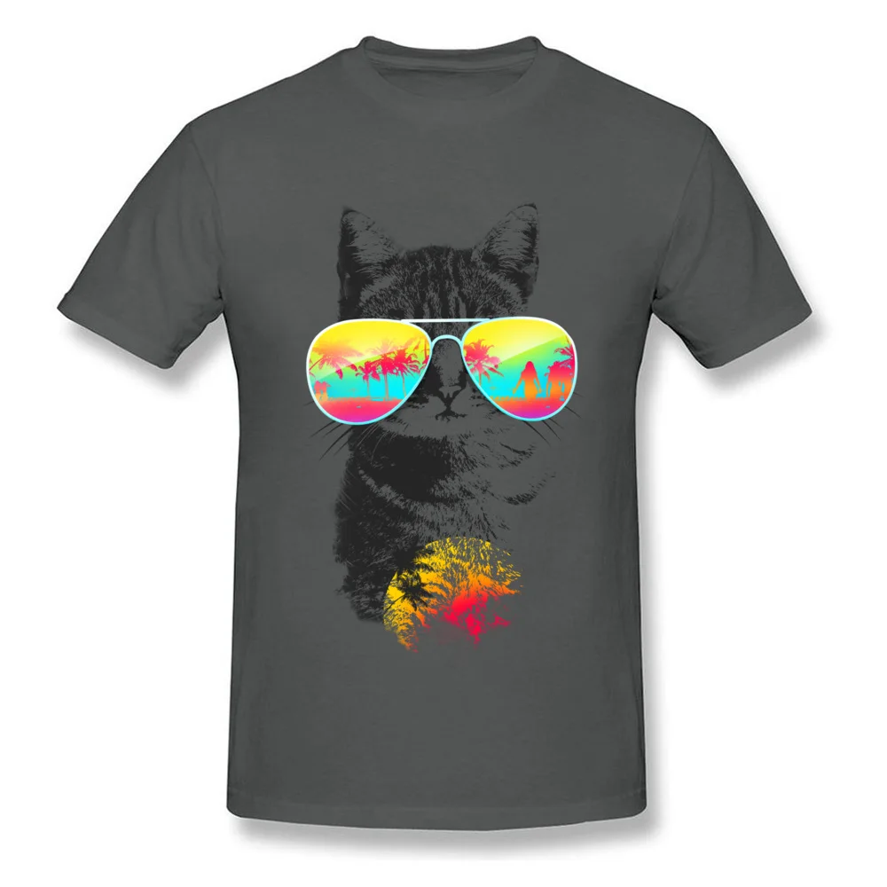 Sunglass Cat Breeze Beach_carbon