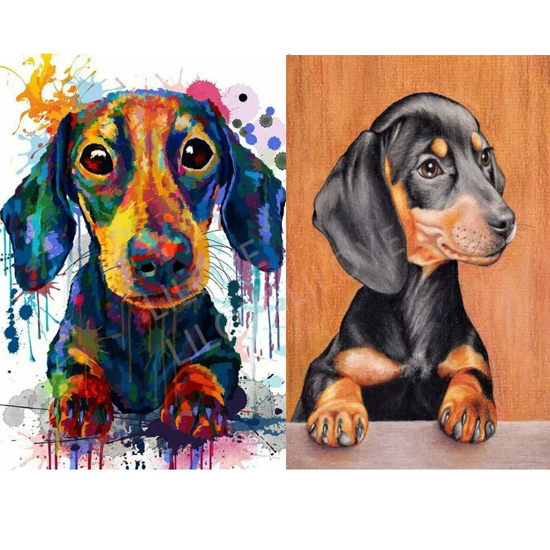 

5d diy Diamond Painting Professor Dachshund Diamond Embroidery color cute pets dog full drill square/ round Rhinestones FG1053