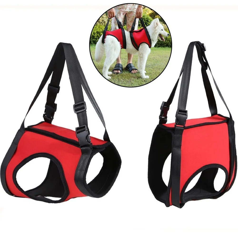 Creation Core Dog Lift Rehabilitation Support Harness Assist for Elderly Disable Joints Surgery Creation Core Dog Lift Rehabilitation Support Harness Assist for Elderly Disable Joints Surgery