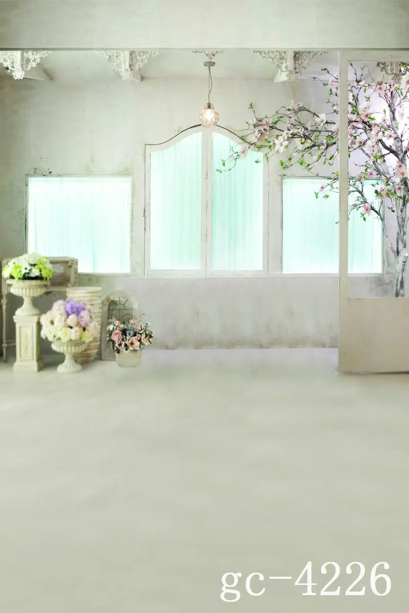

3*5M Art Cloth Custom Photography Backdrops Prop Indoor theme Studio Background GC-4226