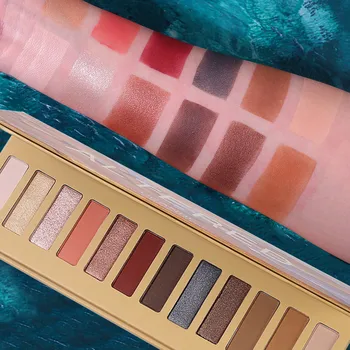 

Eyeshadow palletei Easy to Wear eye shadow matte Natural Factors 12Color Waterproof Eye Shadow Plate Powder Y529