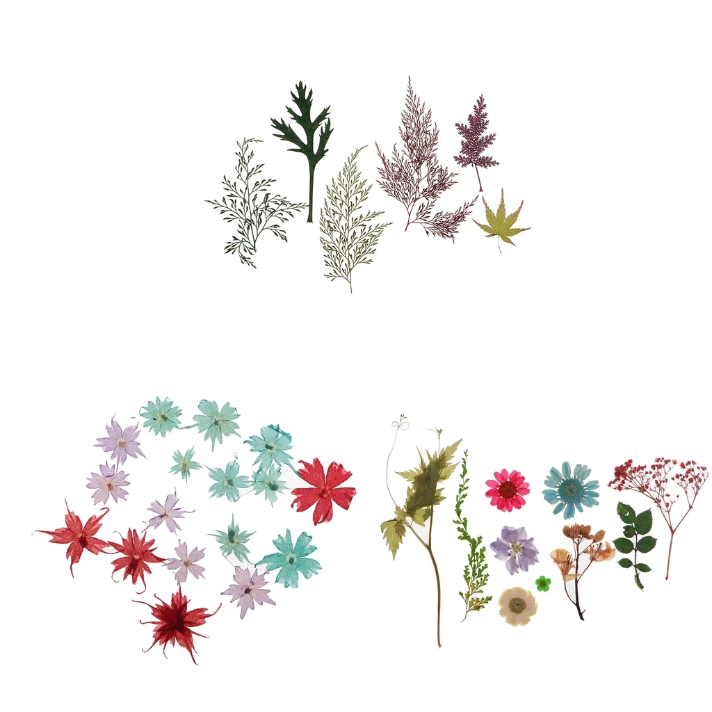 Pack Of Natural Dried Flower Real Flower Mixed For DIY Resin Ornament Craft Card Making Scrapbooking Embellishment Floral Design