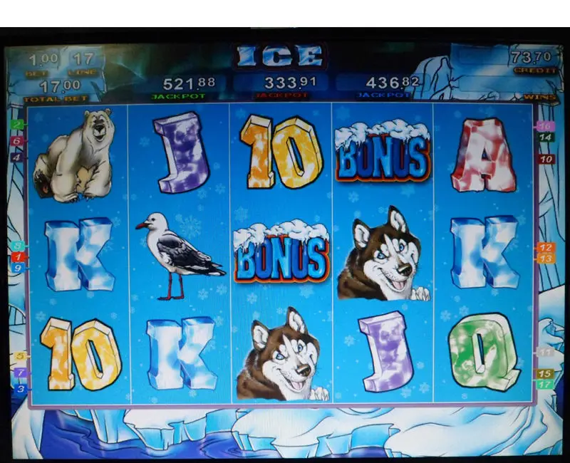 XXL 17 in 1 3