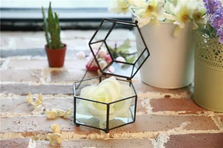 Glass Terrariums 5