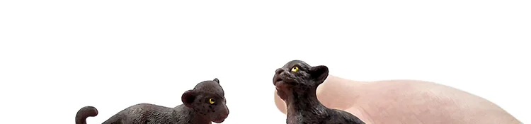 -2--DW-M-LP531-535_01