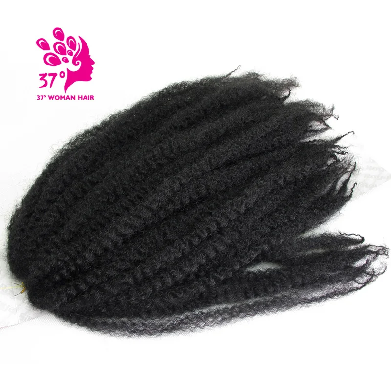 afro twist braid color 1 (8)