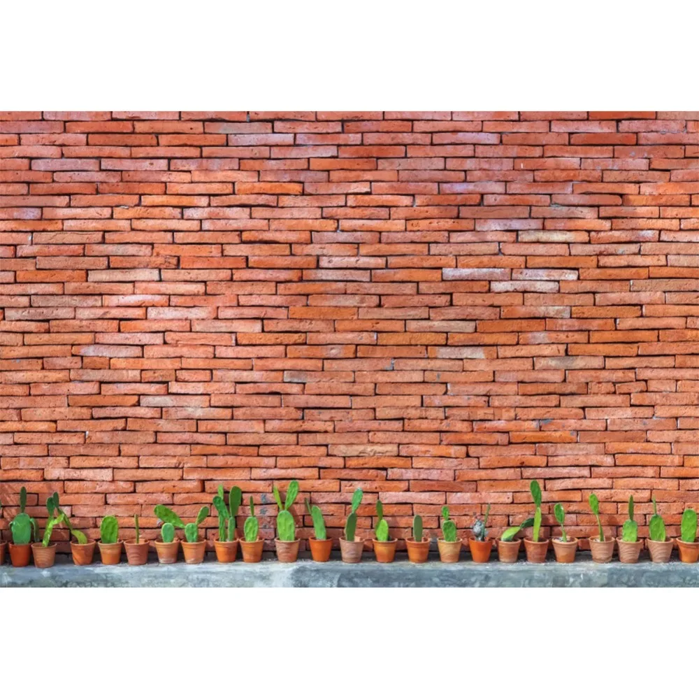 

Laeacco Old Brick Wall Slate Stone Piled Potted Cactus Baby Portrait Photography Backdrops Photographic Backgrounds Photo Studio