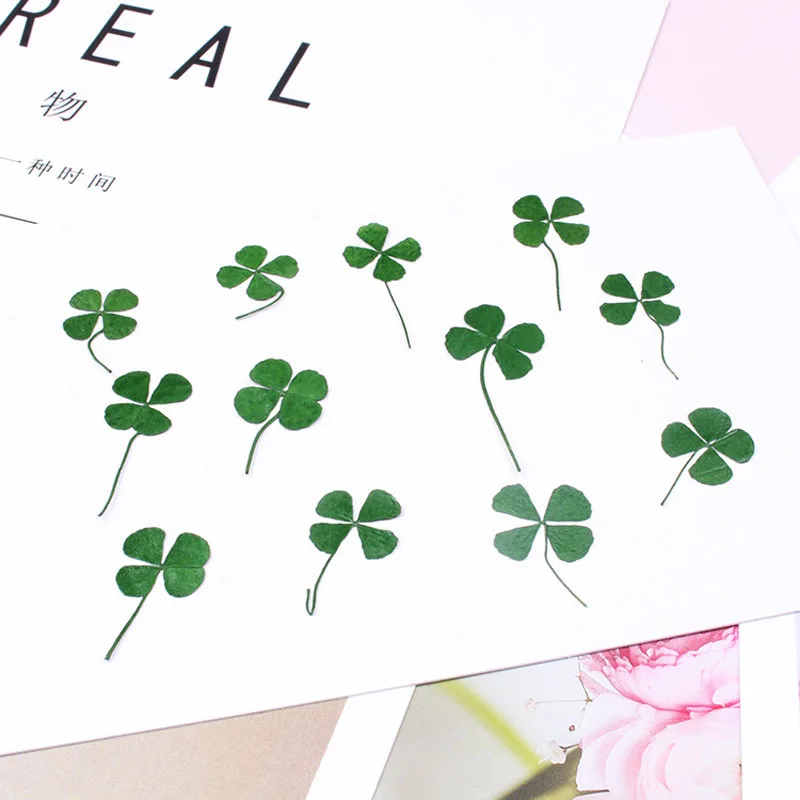 

24PCS Pressed Flower,Nature Four Leaf Clover Petals for DIY Craft Bookmark Gift Card,Flores secas Facial Decor,Rose Eternelle