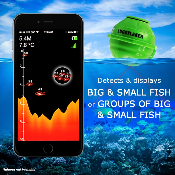 FF-916_EXT-fish