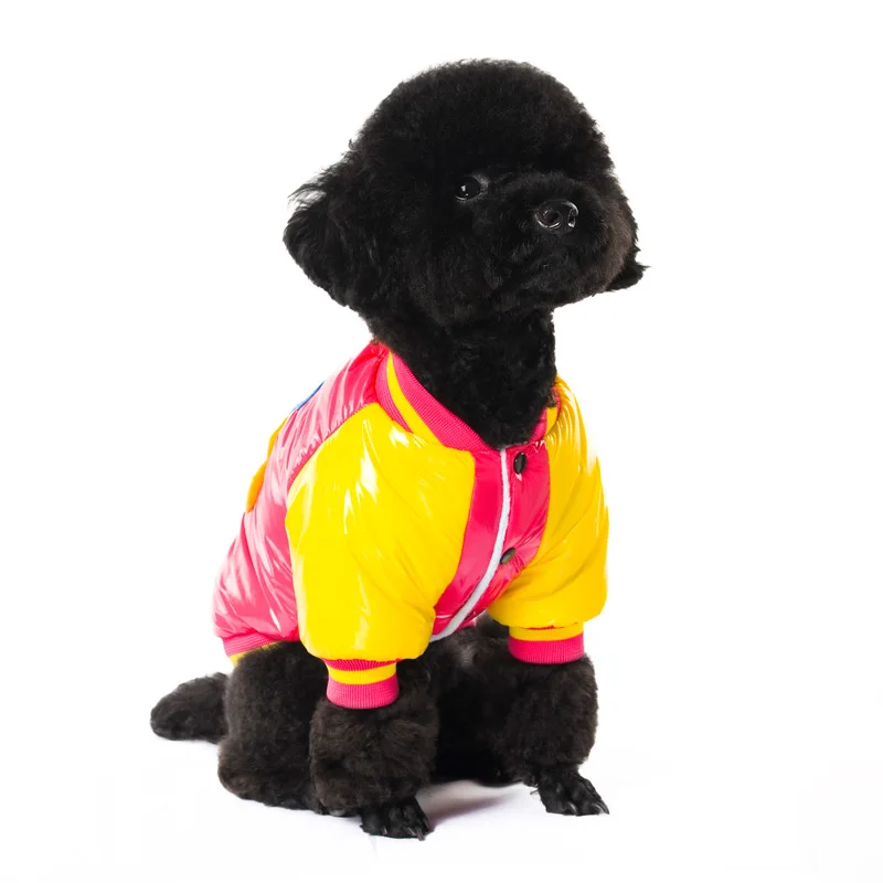 7 clothes for dogs 