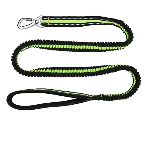 Pet Dog Reflective Leash Lead with Control Handle Training Bungee for Walking Running
