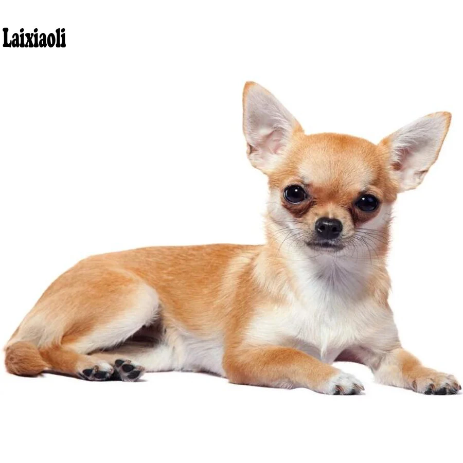 Cute pet Diamonds Painting Full Diamonds Rhinestone Cross Stitch chihuahua dog DIY Mosaic 3d embroidery crystal Drill home decor Painting