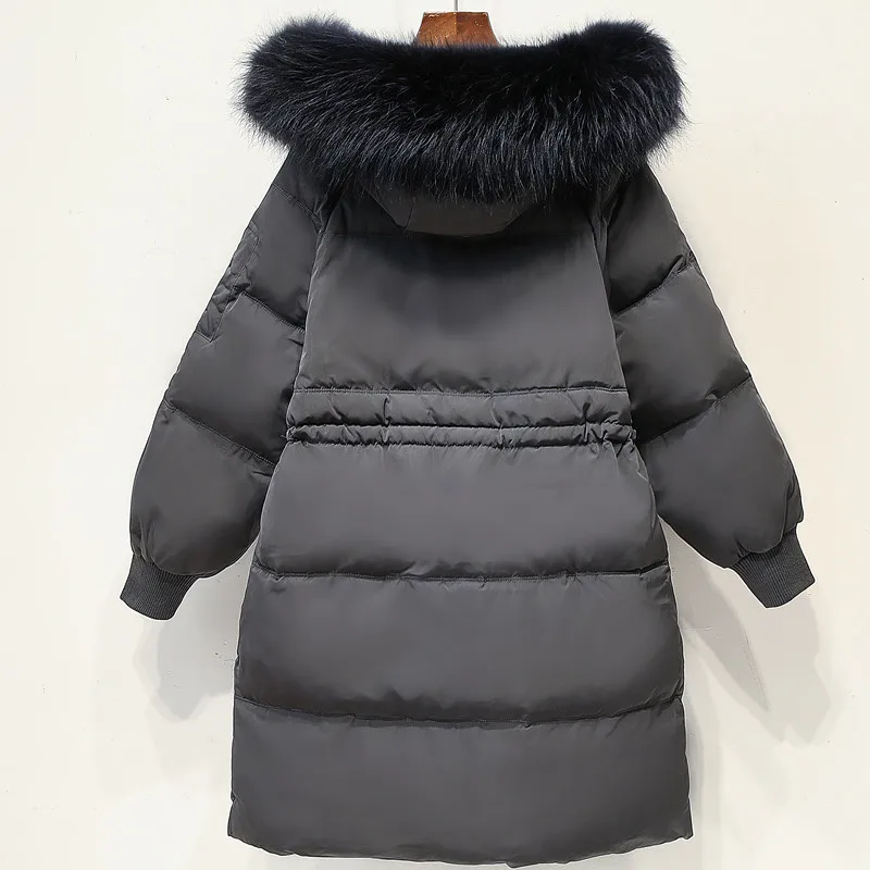 9586512023_142766717